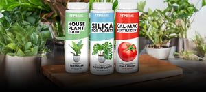 Houseplant Supplements