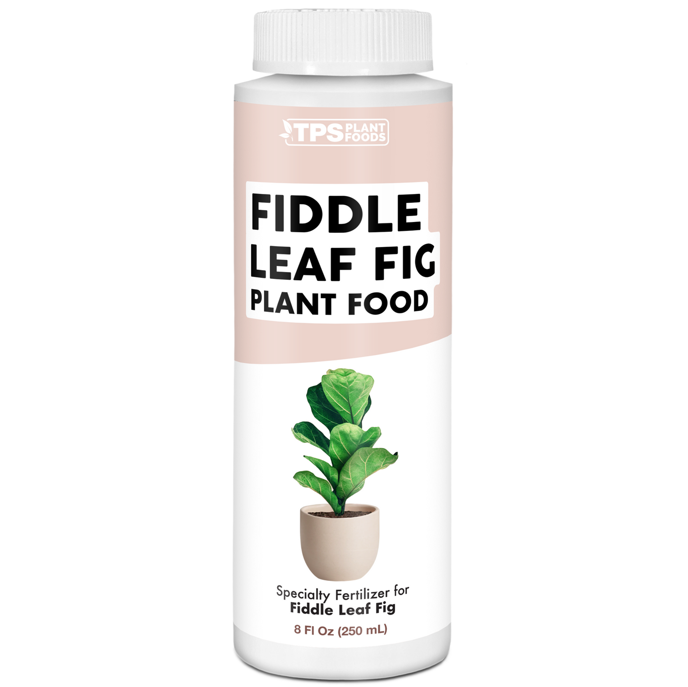 Fiddle Leaf Fig Plant Food