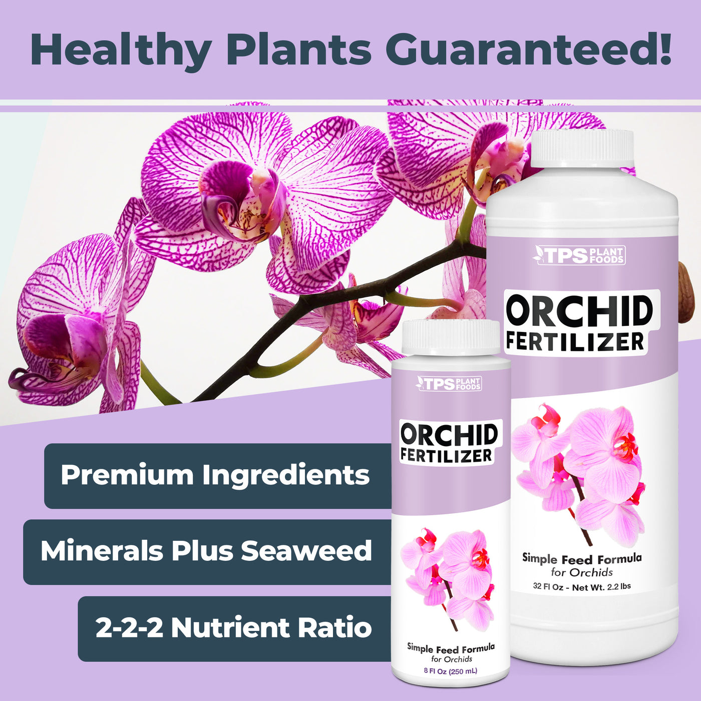 Orchid Plant Food