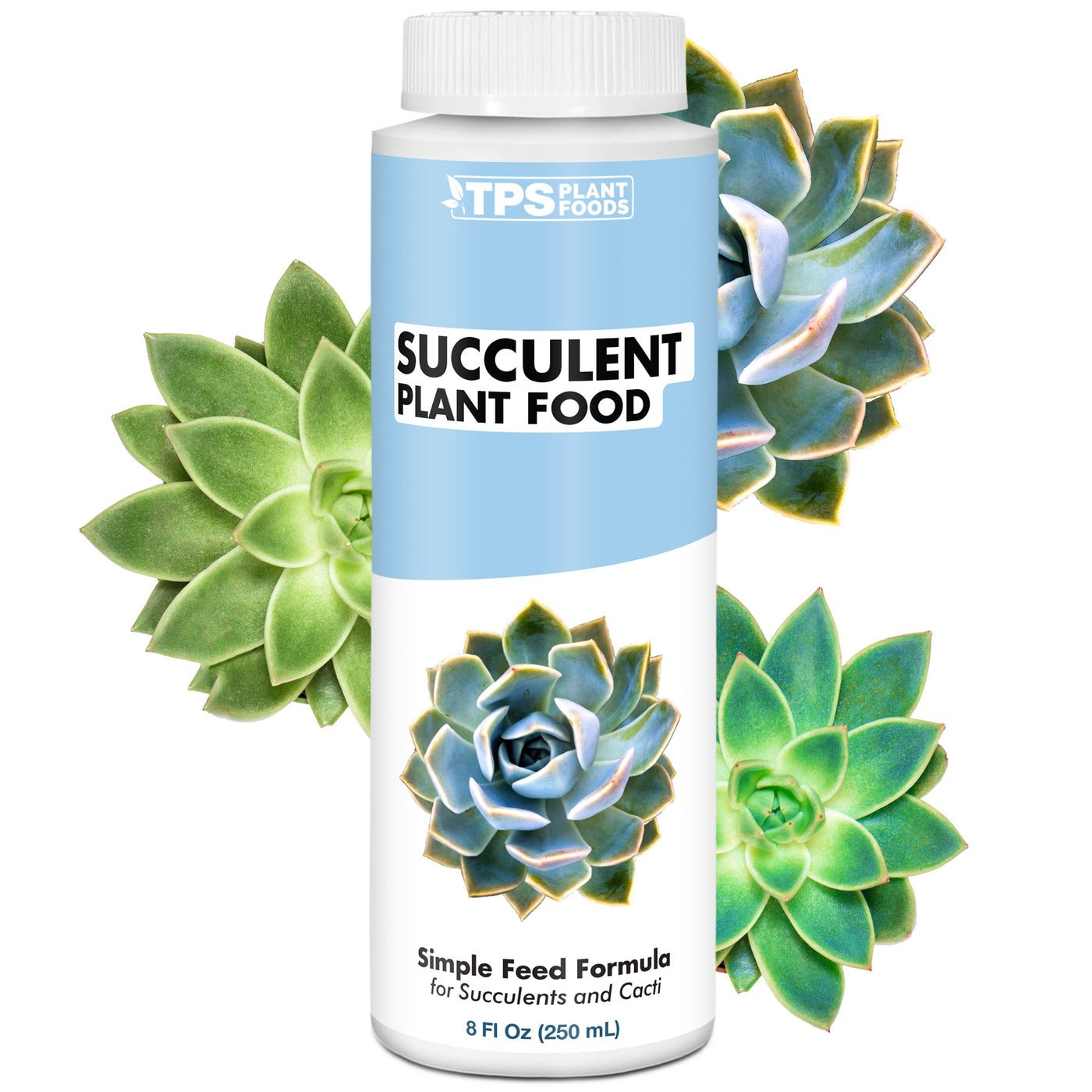 Succulent Plant Food