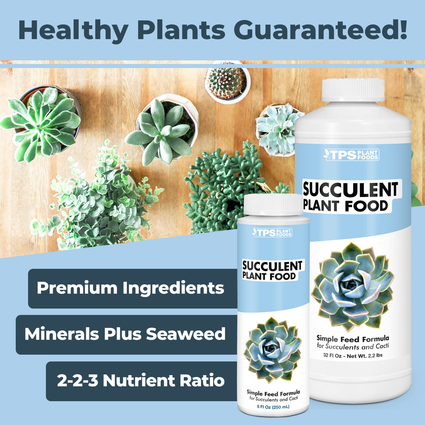 Succulent Plant Food