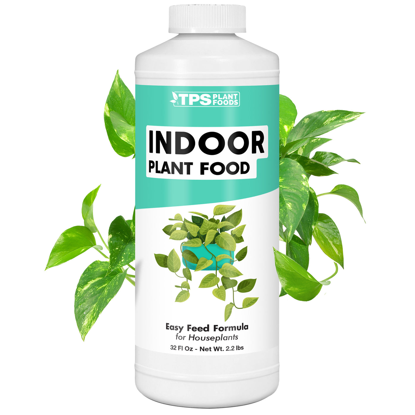 Indoor Plant Food