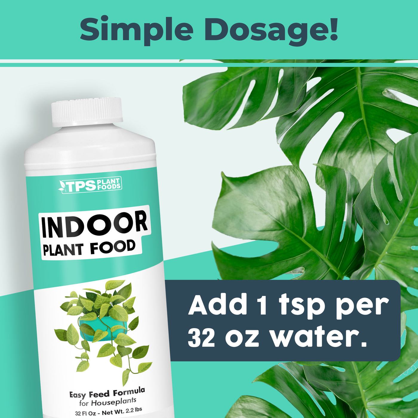 Indoor Plant Food