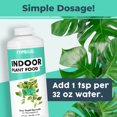 Indoor Plant Food