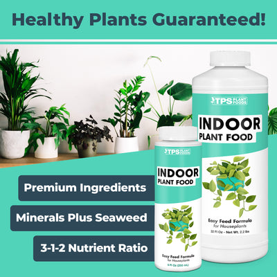 Indoor Plant Food