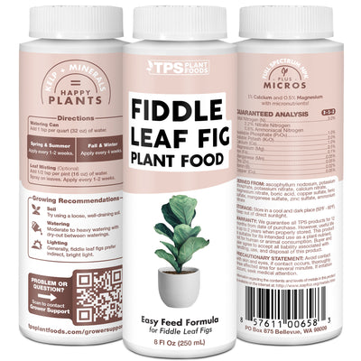 Fiddle Leaf Fig Plant Food