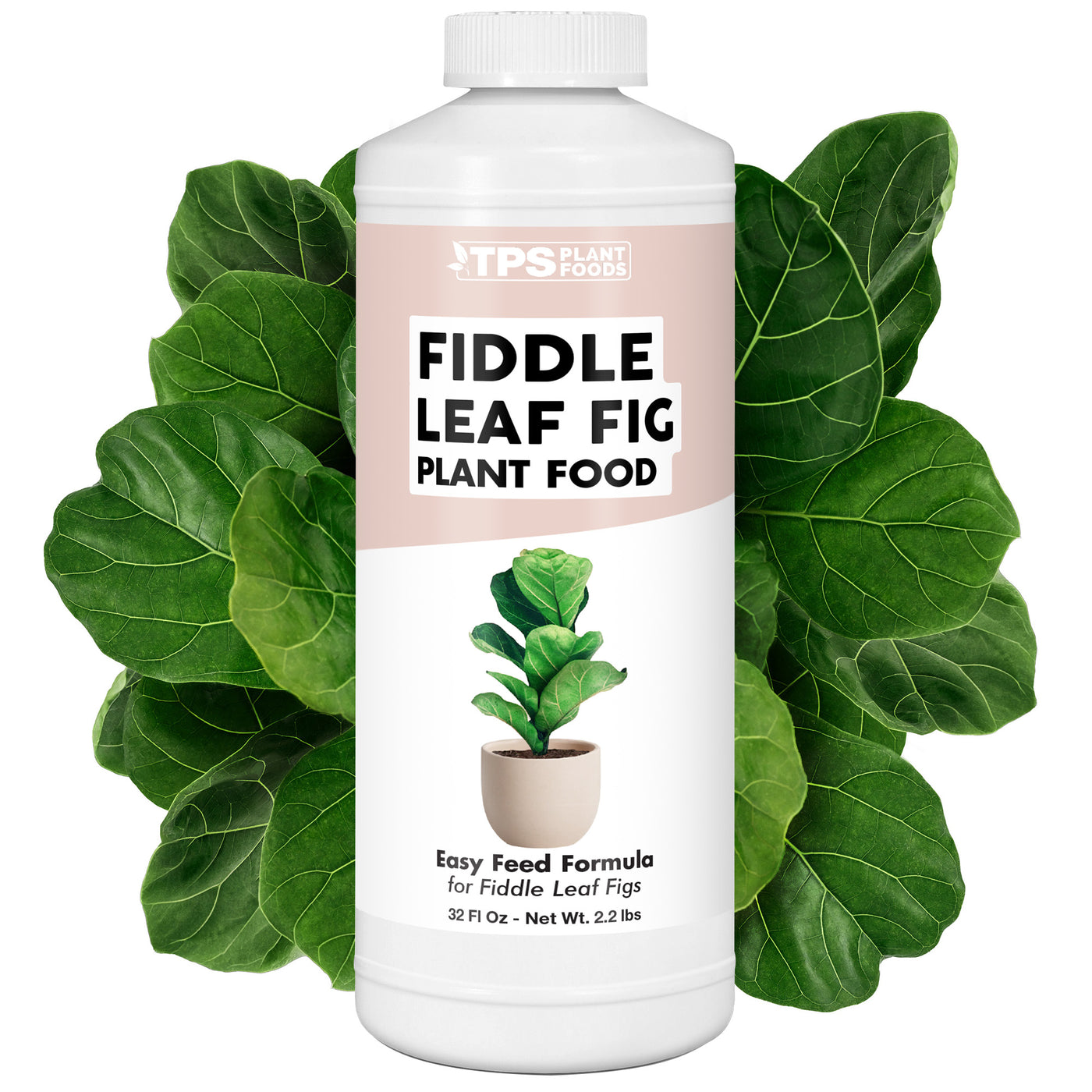 Fiddle Leaf Fig Plant Food