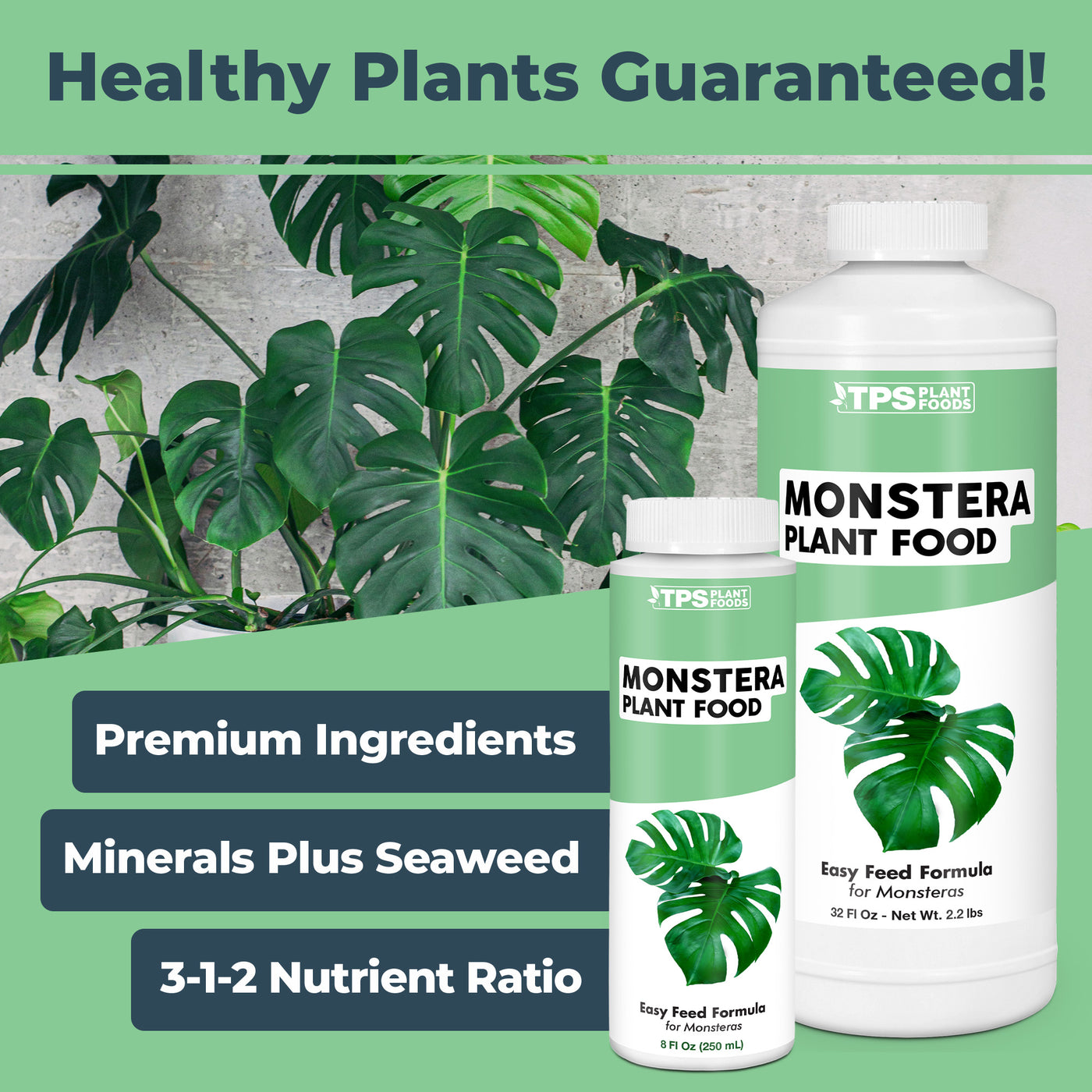 Monstera Plant Food