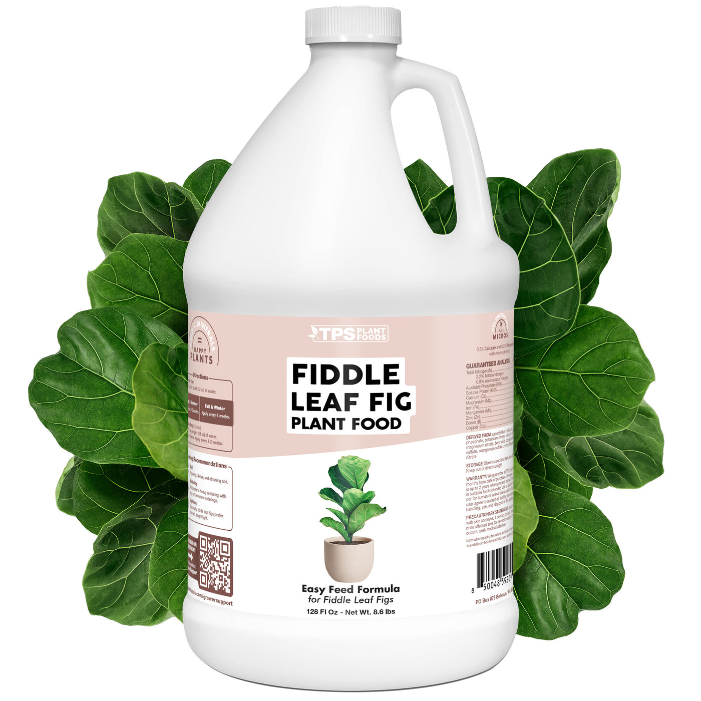 Fiddle Leaf Fig Plant Food