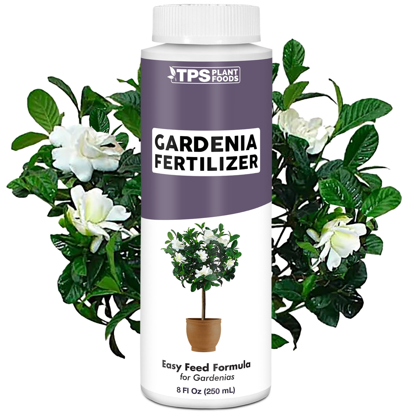 Gardenia Fertilizer