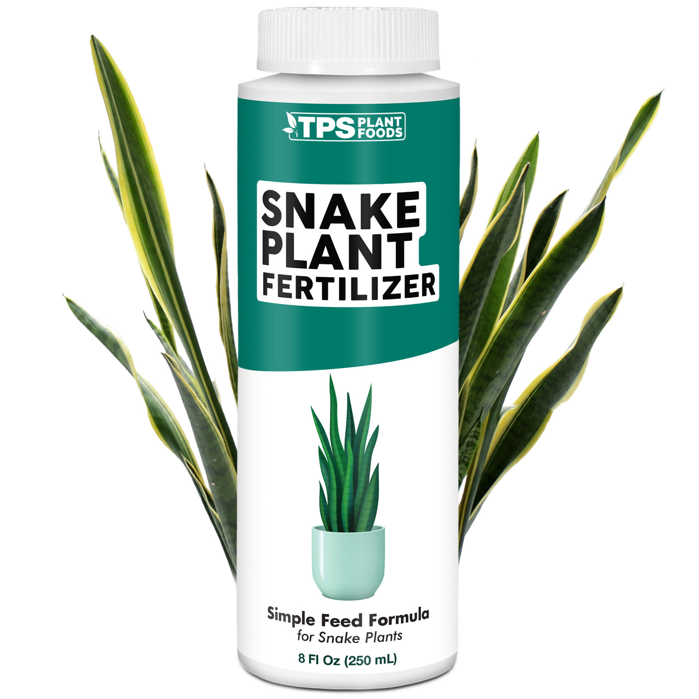 Snake Plant Fertilizer