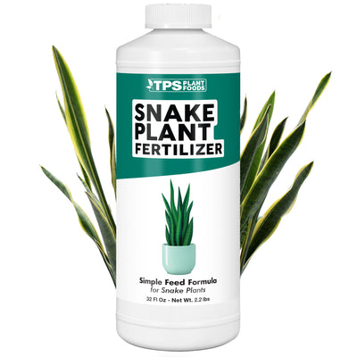 Snake Plant Fertilizer