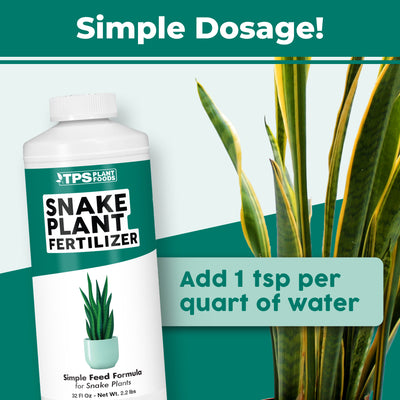 Snake Plant Fertilizer