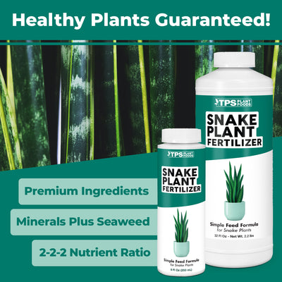 Snake Plant Fertilizer