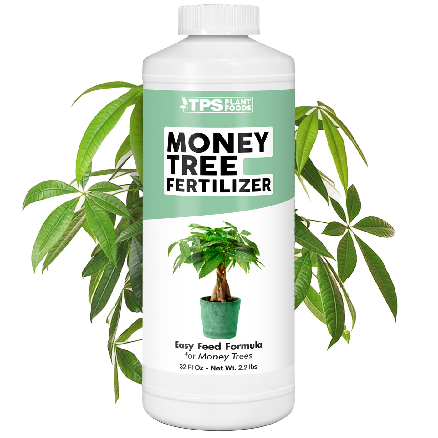 Money Tree Fertilizer