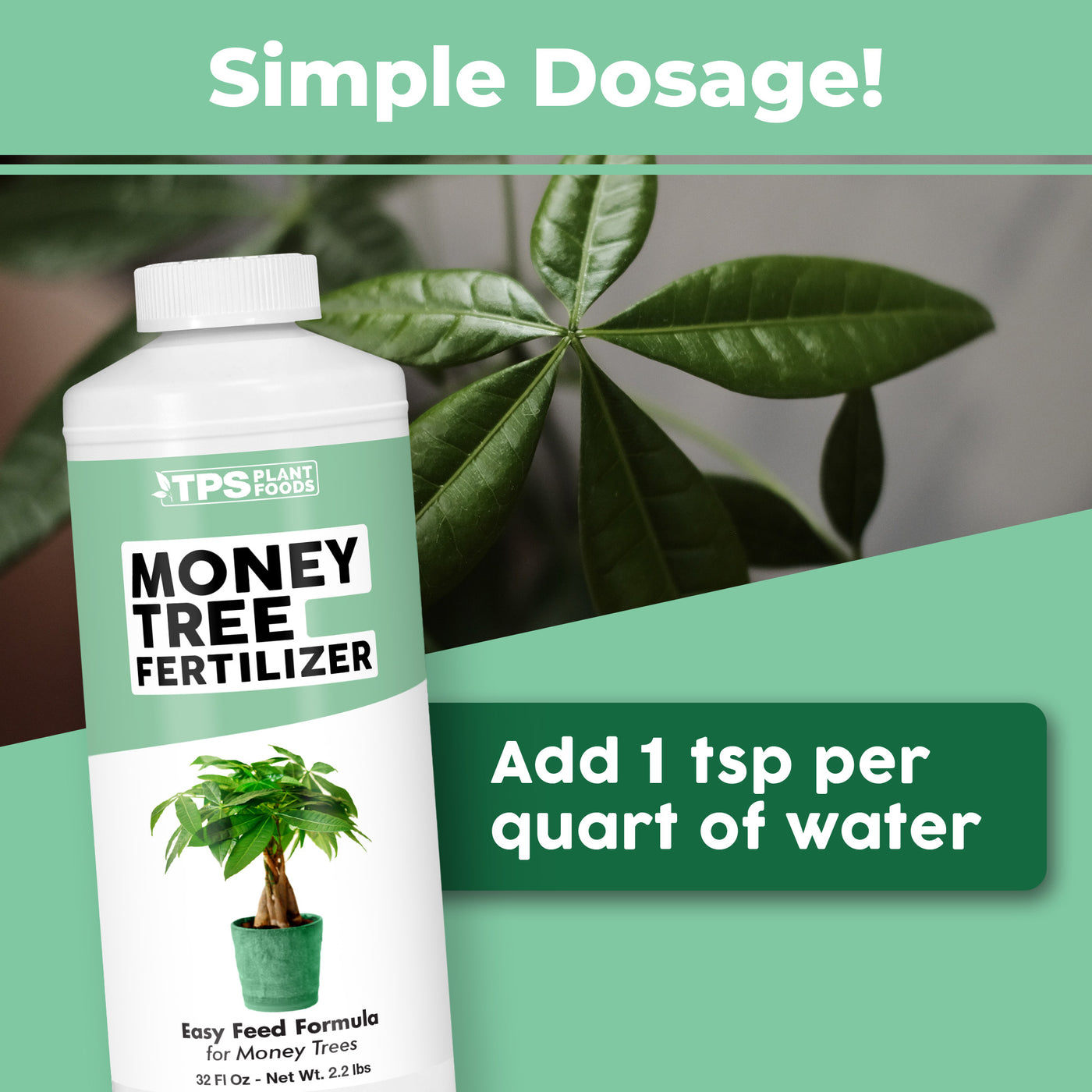 Money Tree Fertilizer