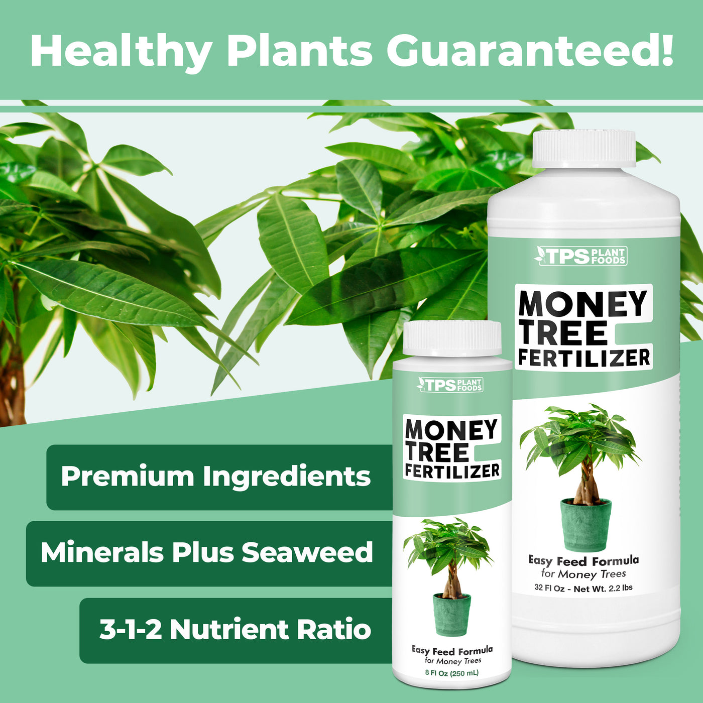 Money Tree Fertilizer