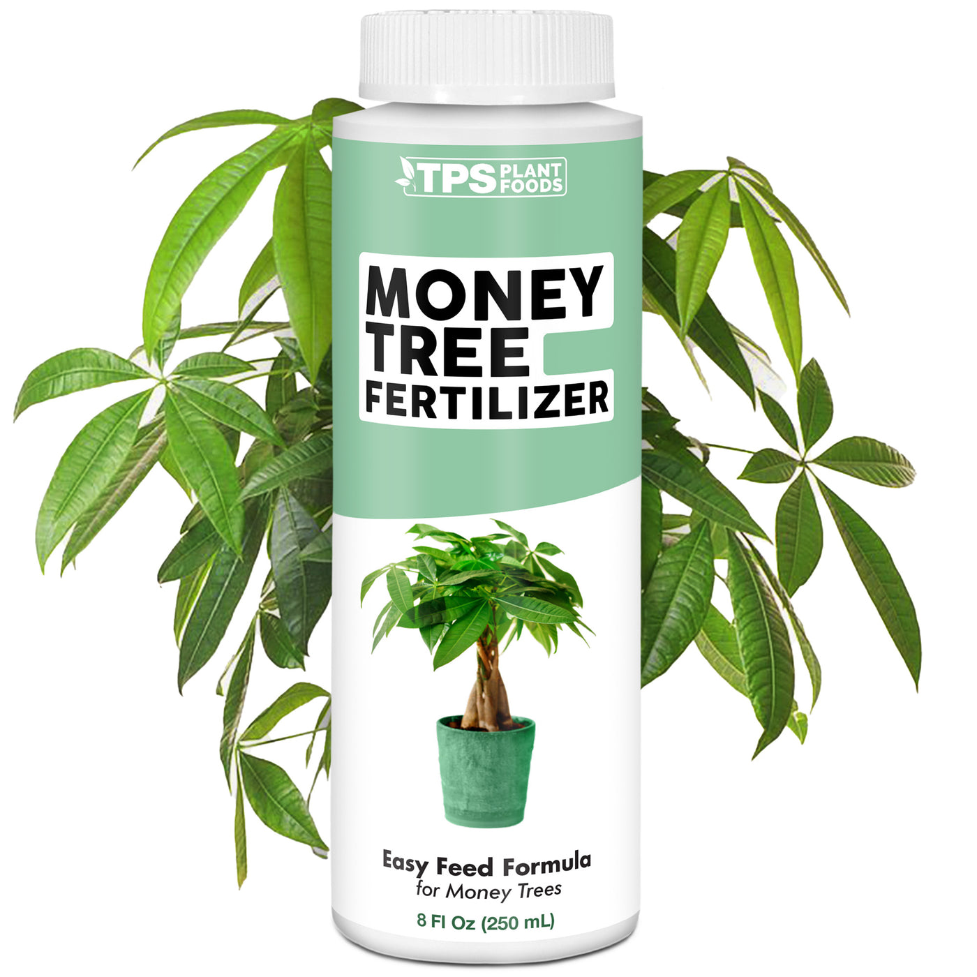 Money Tree Fertilizer