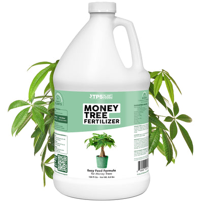 Money Tree Fertilizer