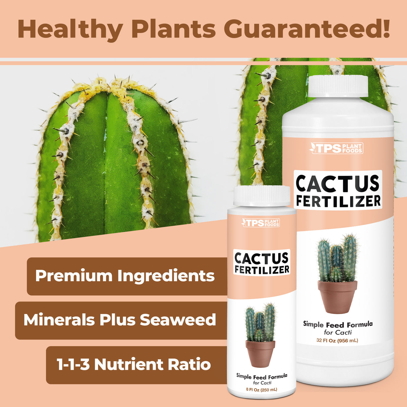 Cactus Fertilizer