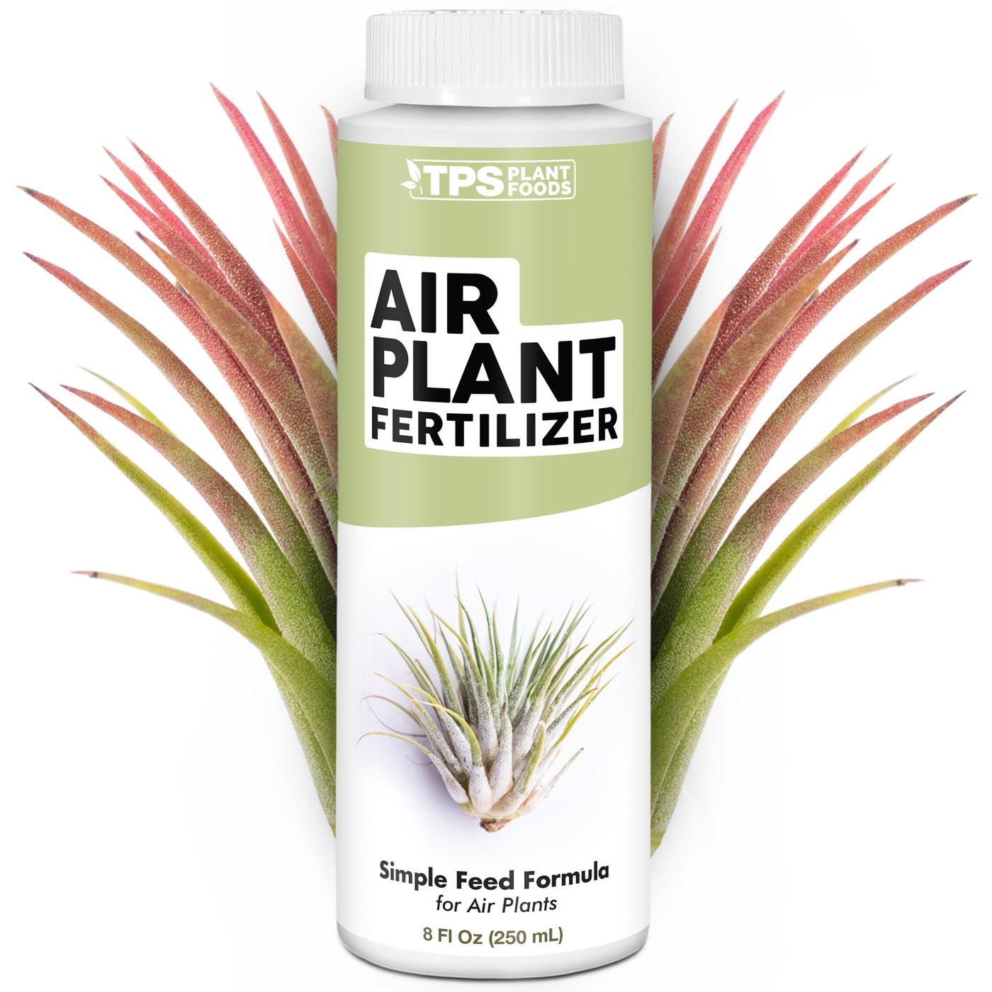 Air Plant Fertilizer