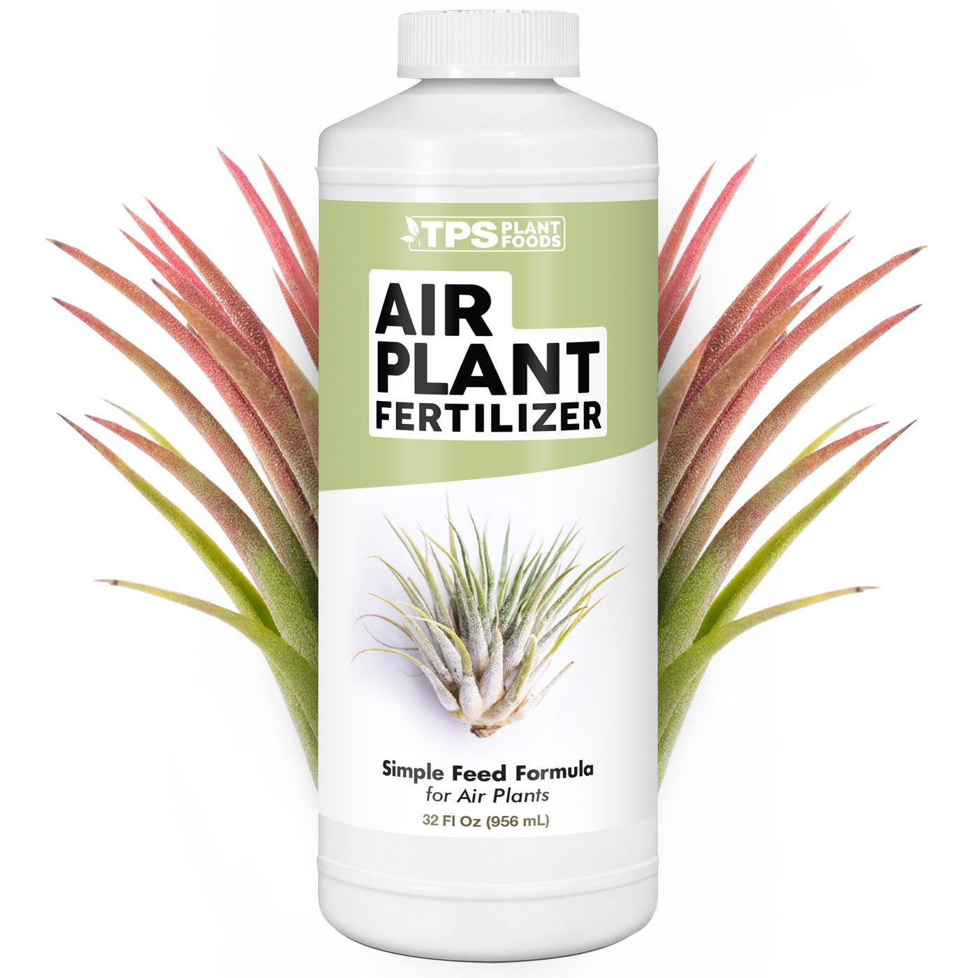 Air Plant Fertilizer