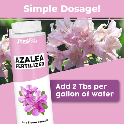 Azalea Fertilizer