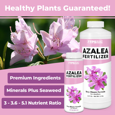 Azalea Fertilizer