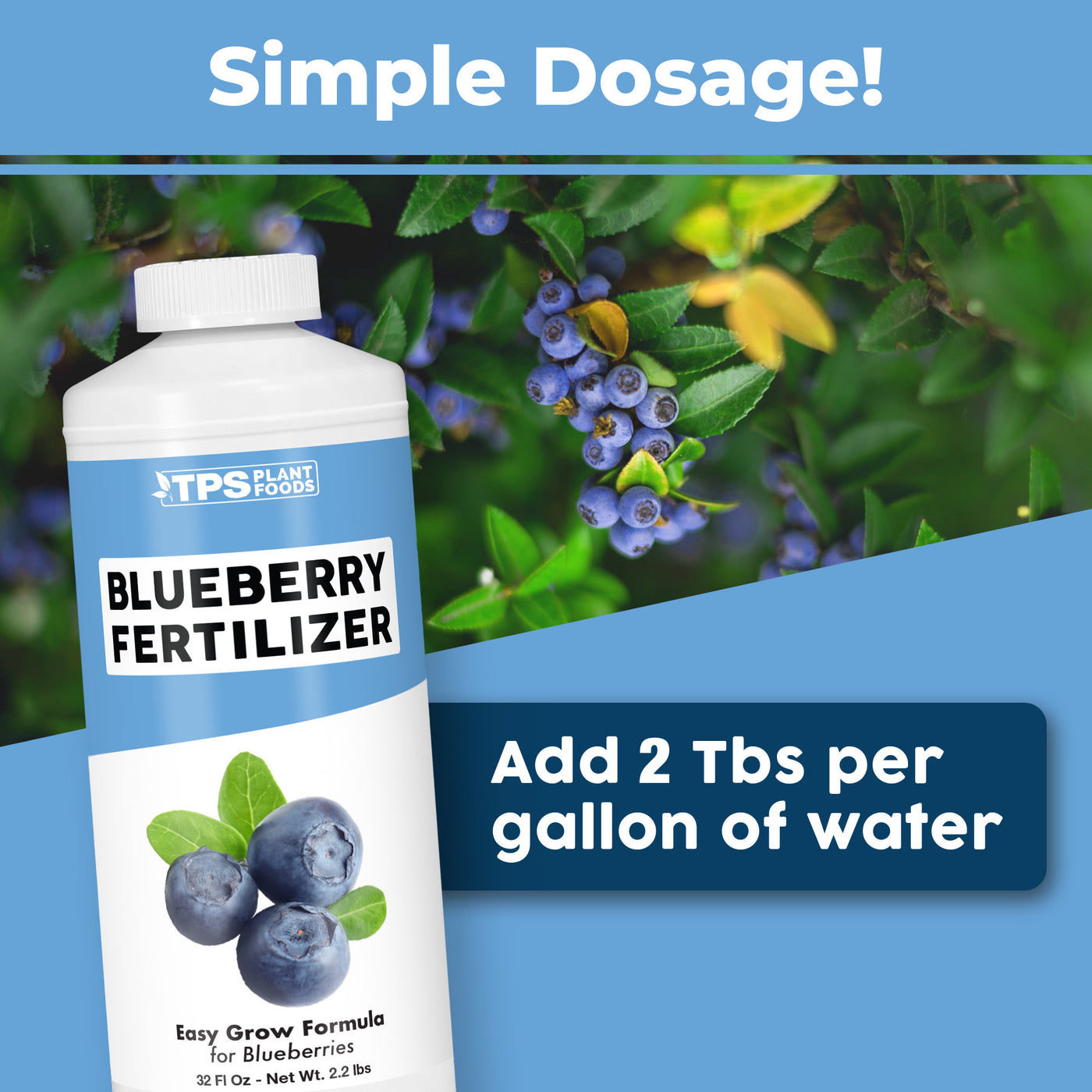 Blueberry Fertilizer