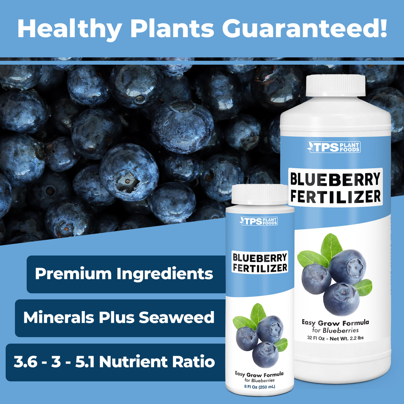 Blueberry Fertilizer