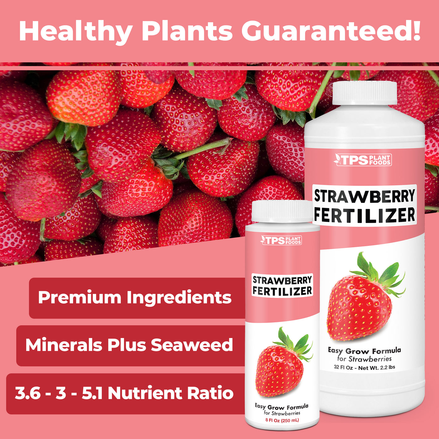 Strawberry Fertilizer