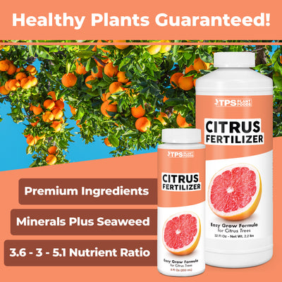 Citrus Fertilizer