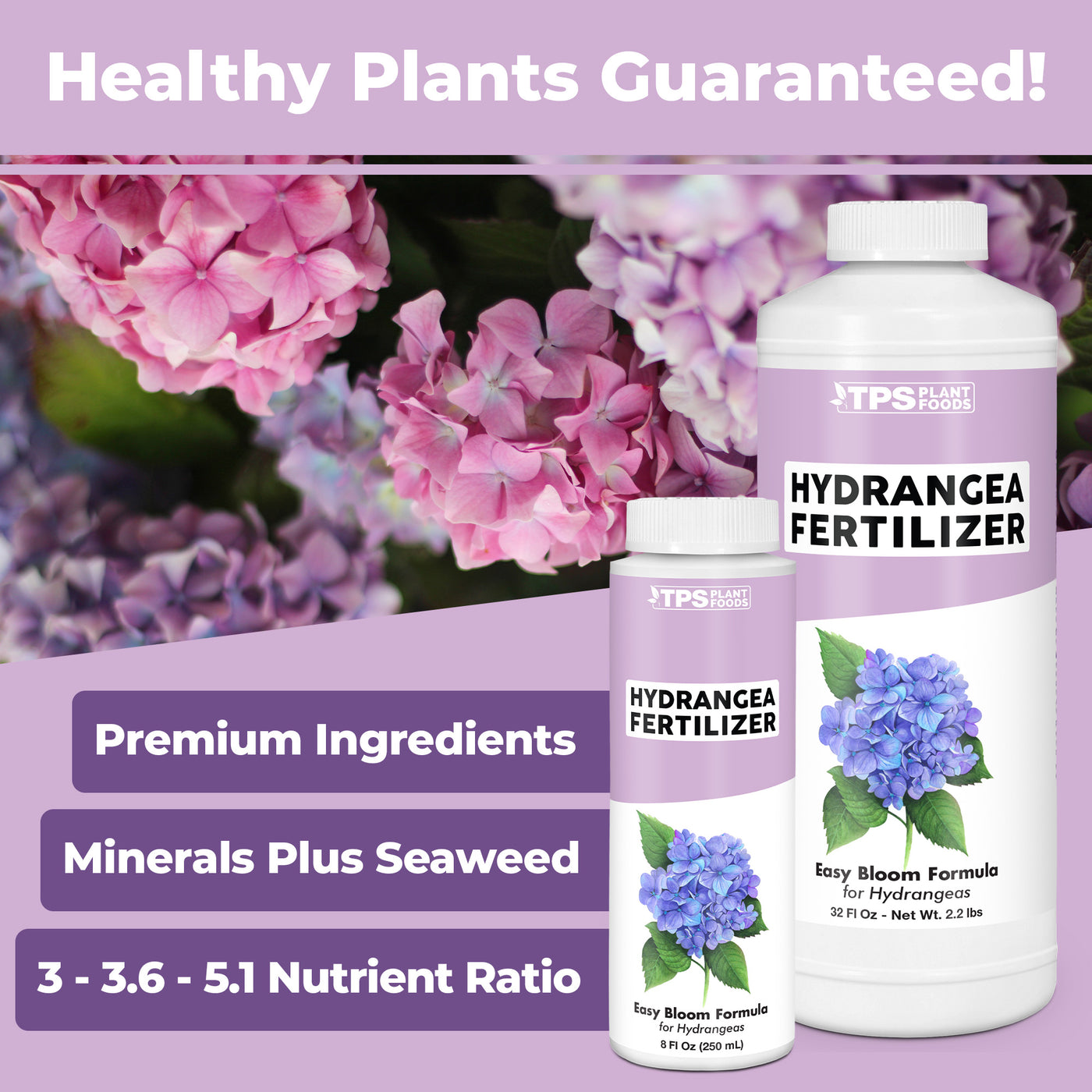 Hydrangea Fertilizer