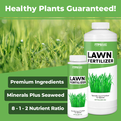 Lawn Fertilizer