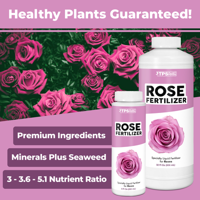 Rose Fertilizer