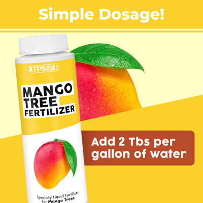 Mango Tree Fertilizer