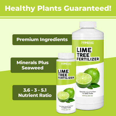 Lime Tree Fertilizer