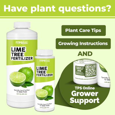 Lime Tree Fertilizer