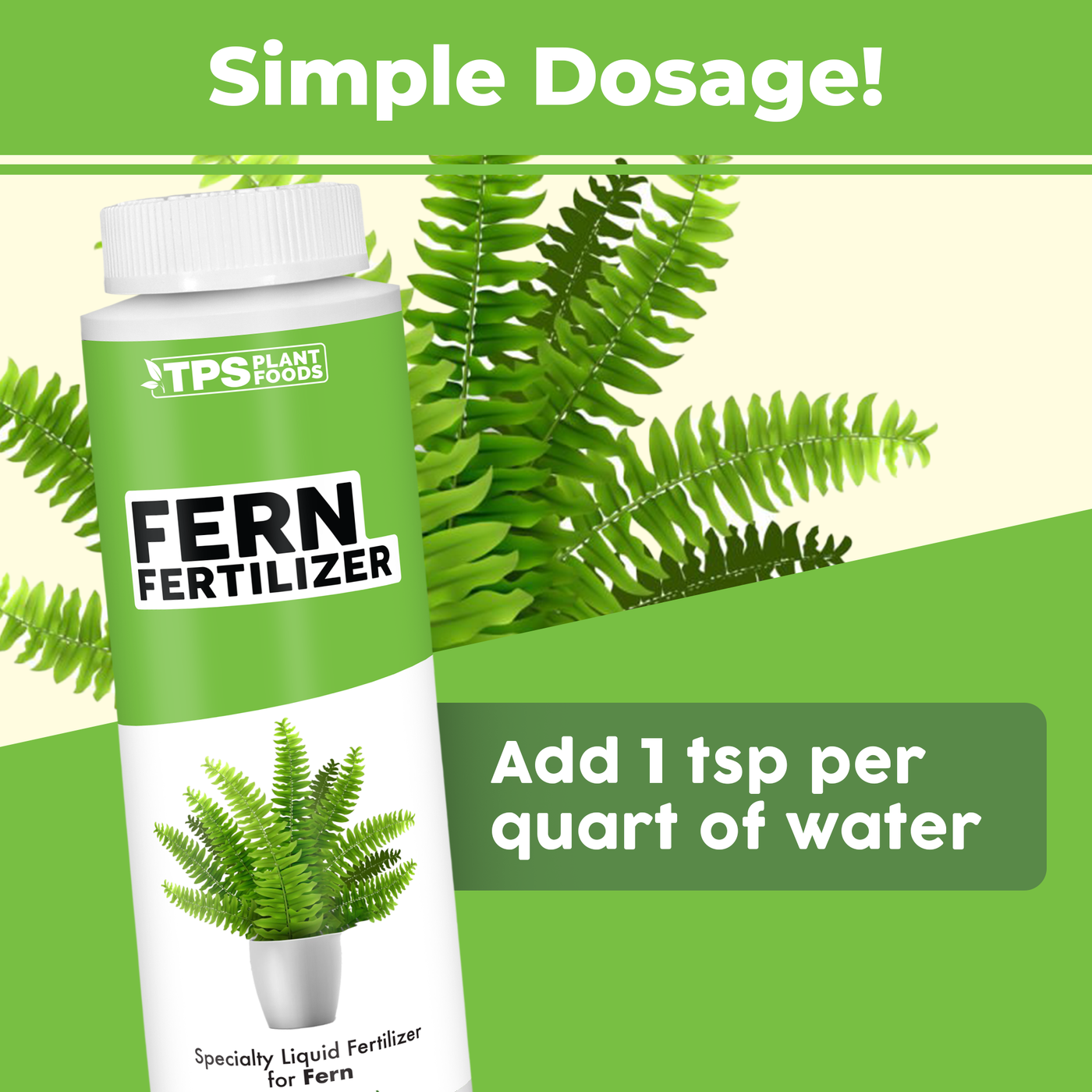 Fern Fertilizer