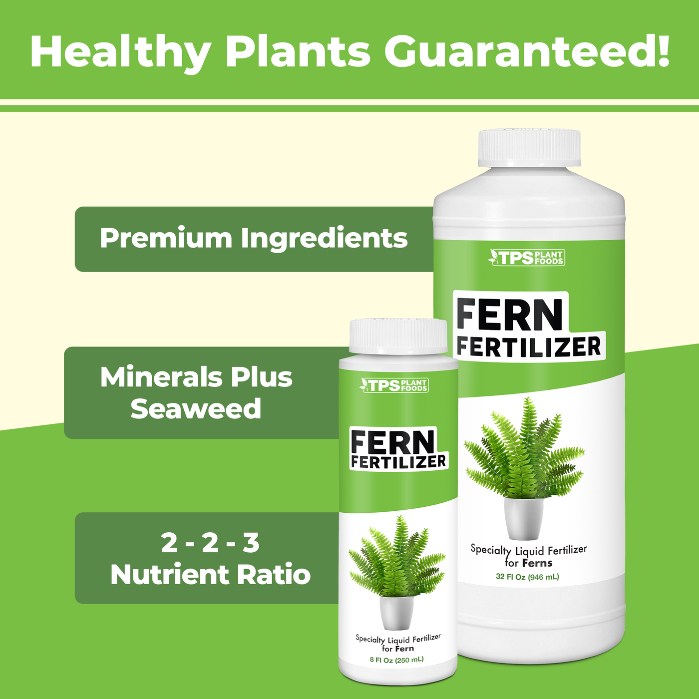 Fern Fertilizer