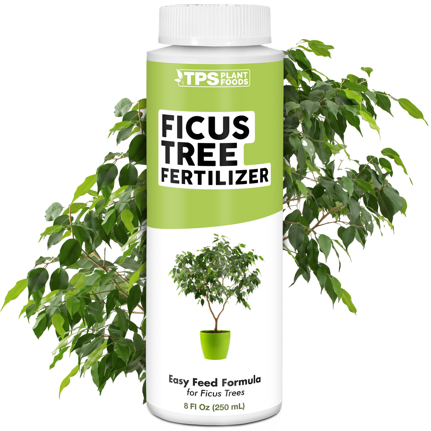 Ficus Fertilizer