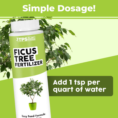 Ficus Fertilizer