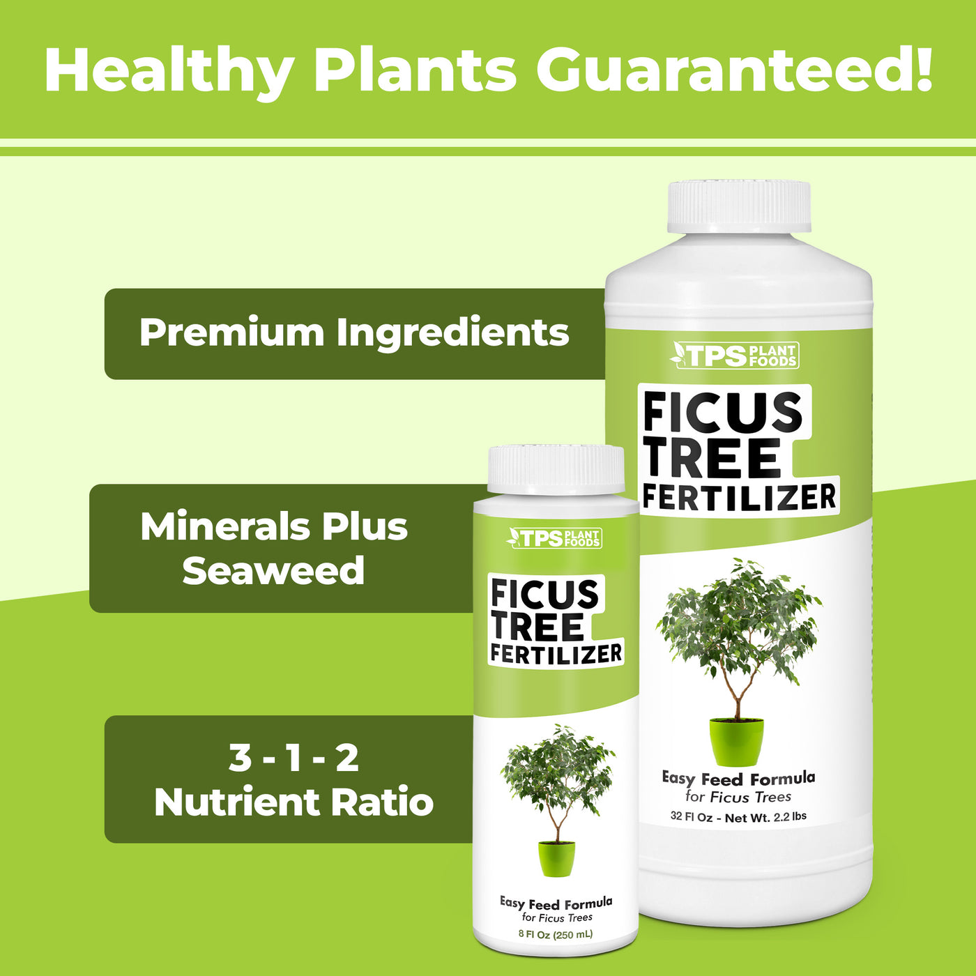 Ficus Fertilizer