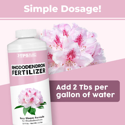 Rhododendron Fertilizer