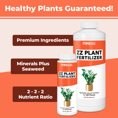 ZZ Plant Fertilizer