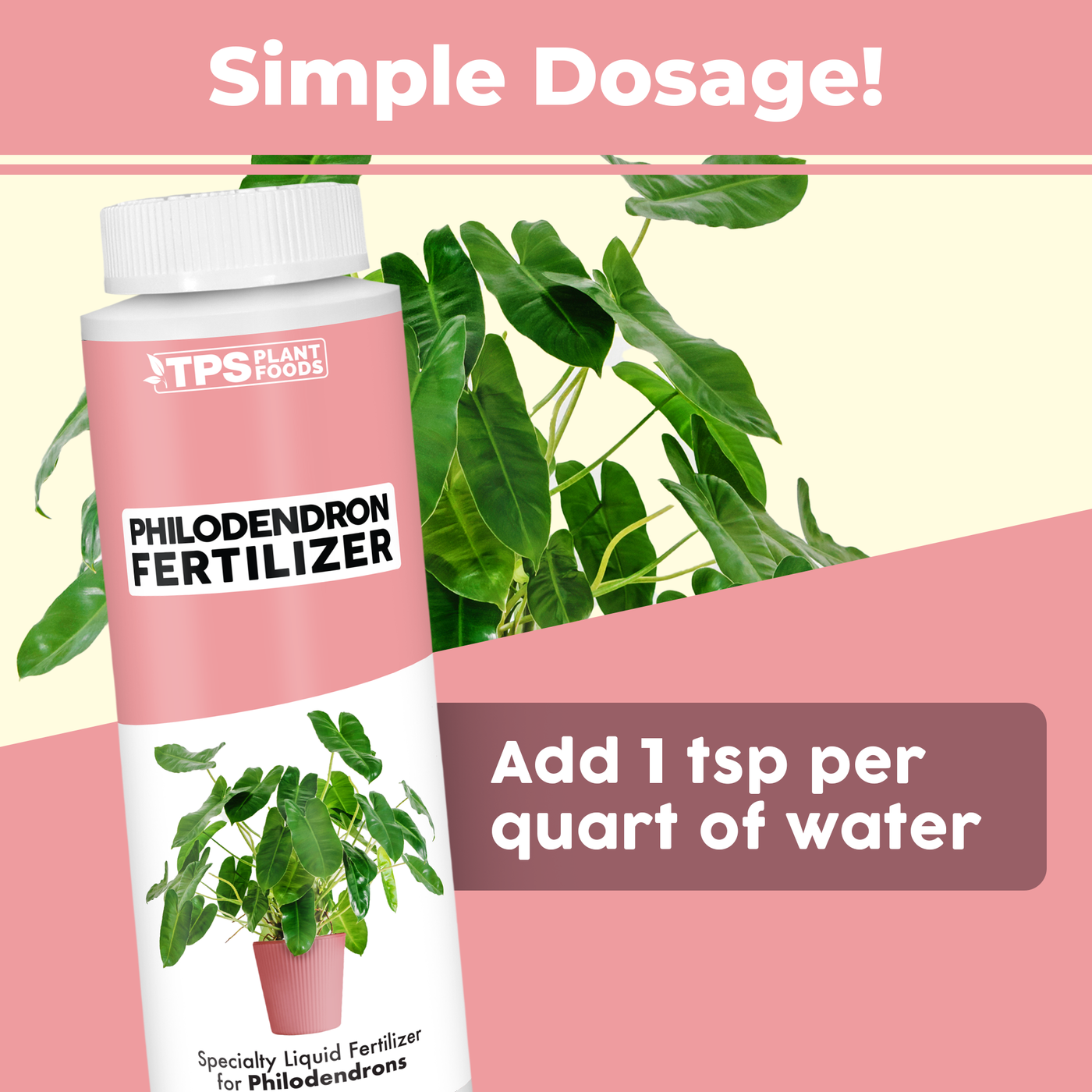 Philodendron Fertilizer