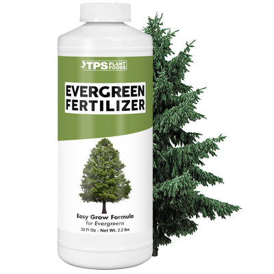 Evergreen Fertilizer