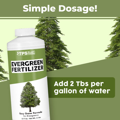 Evergreen Fertilizer