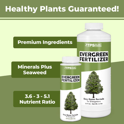 Evergreen Fertilizer