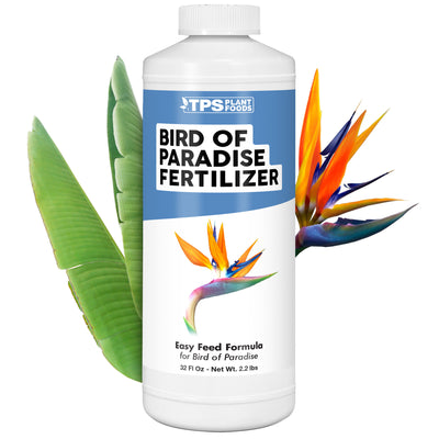 Bird of Paradise Fertilizer